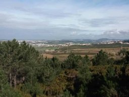 2019-02-09  COMANDOS